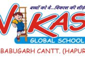 Vikas Global School