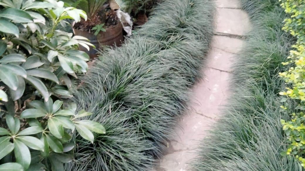 Nisha Nursery and Landscape