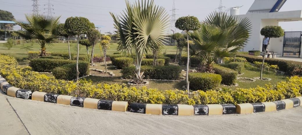 Nisha Nursery and Landscape